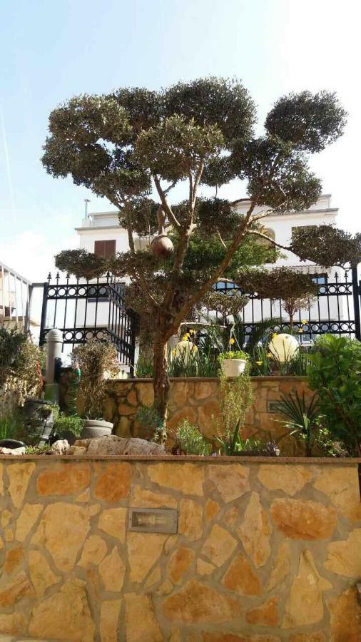 Apartmani Juric Vrsar Exterior foto